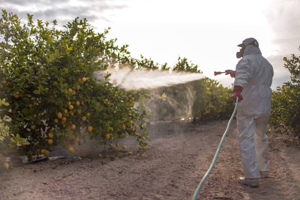 Best Emergency Pest Control  in Randolph Af, TX